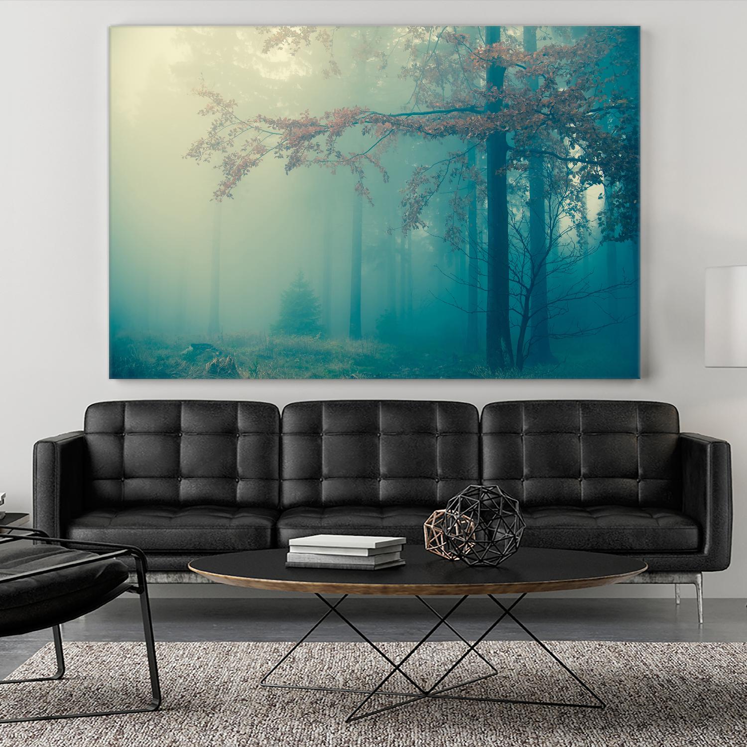 Woods by PhotoINC Studio on GIANT ART - multicolor photography; landscapes