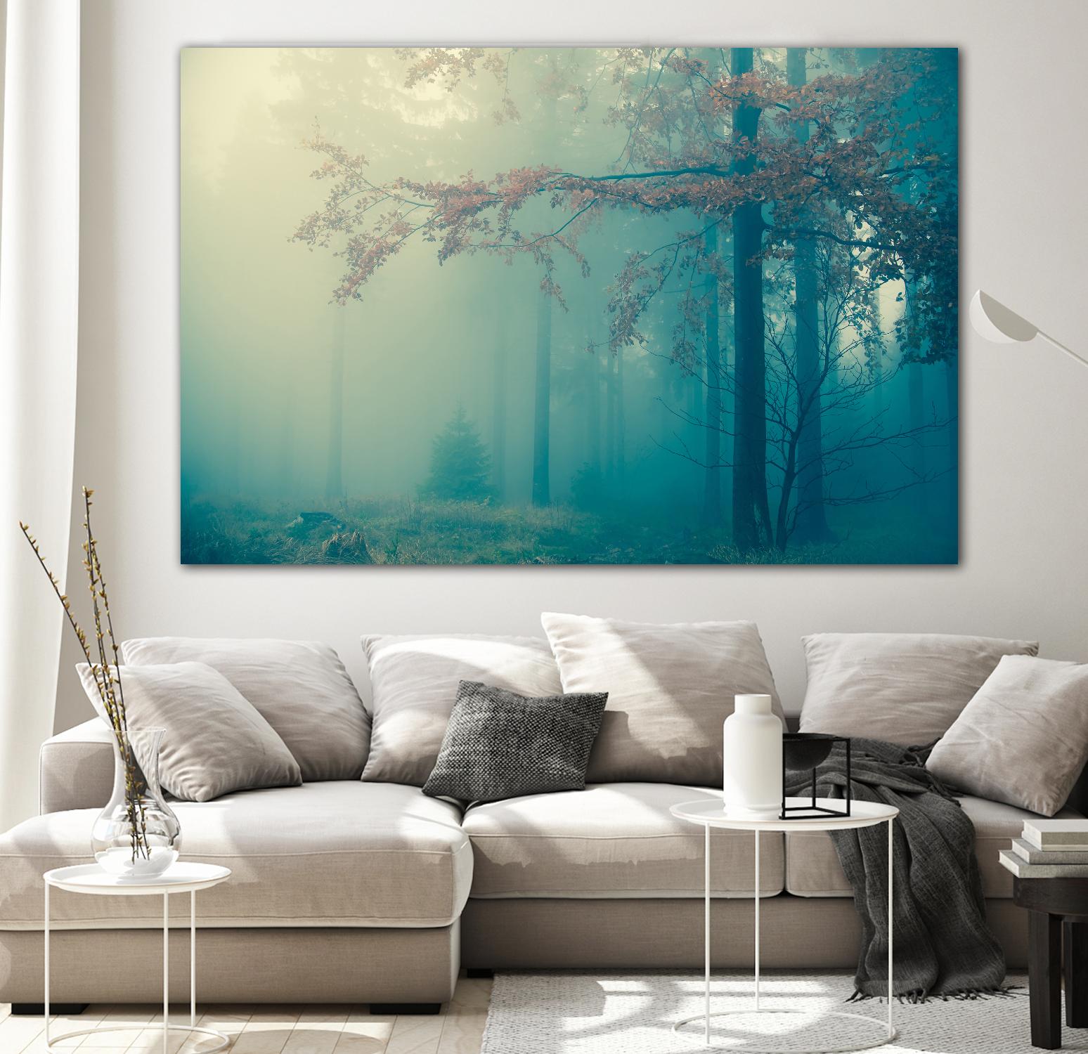 Woods by PhotoINC Studio on GIANT ART - multicolor photography; landscapes