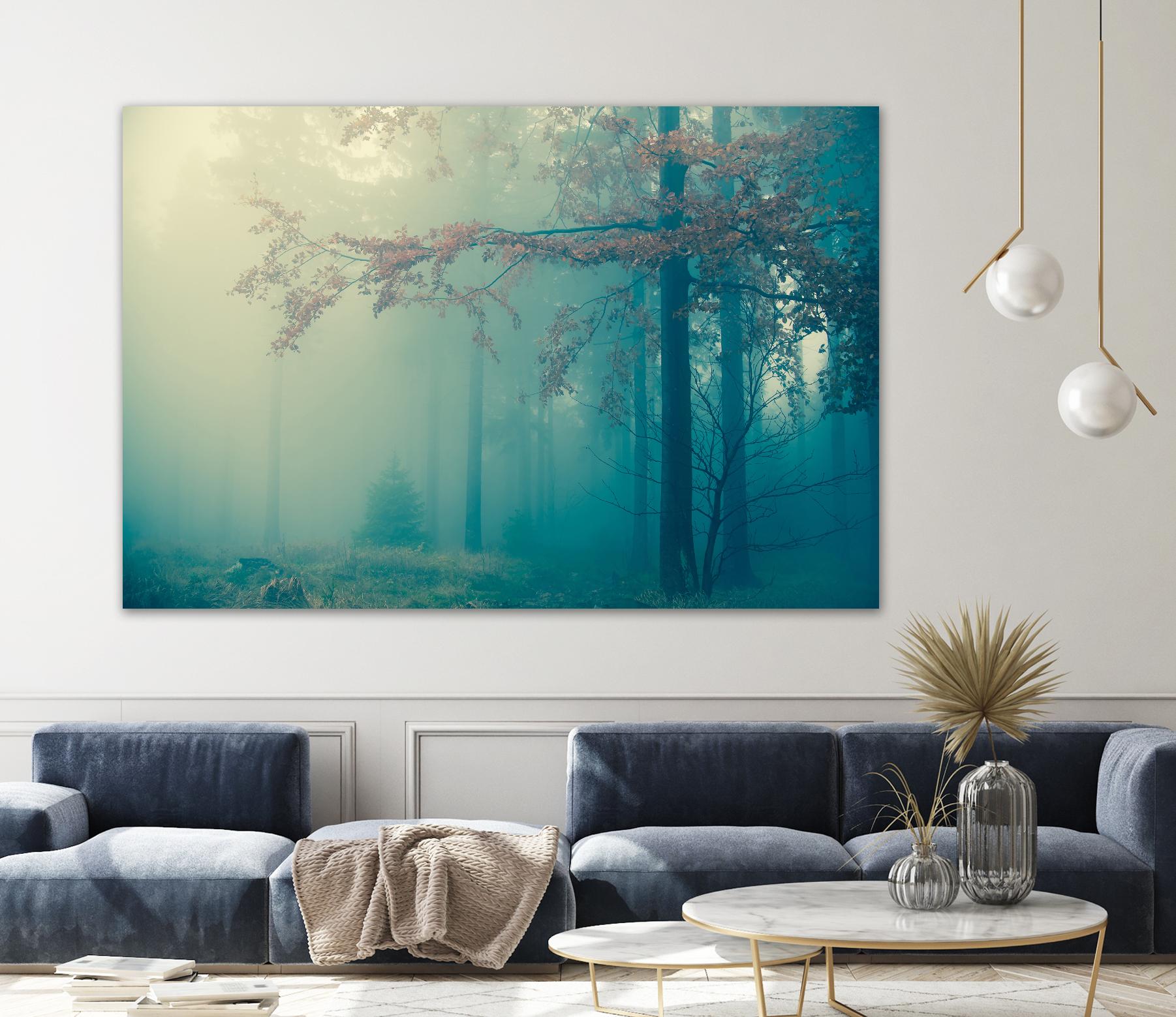 Woods by PhotoINC Studio on GIANT ART - multicolor photography; landscapes