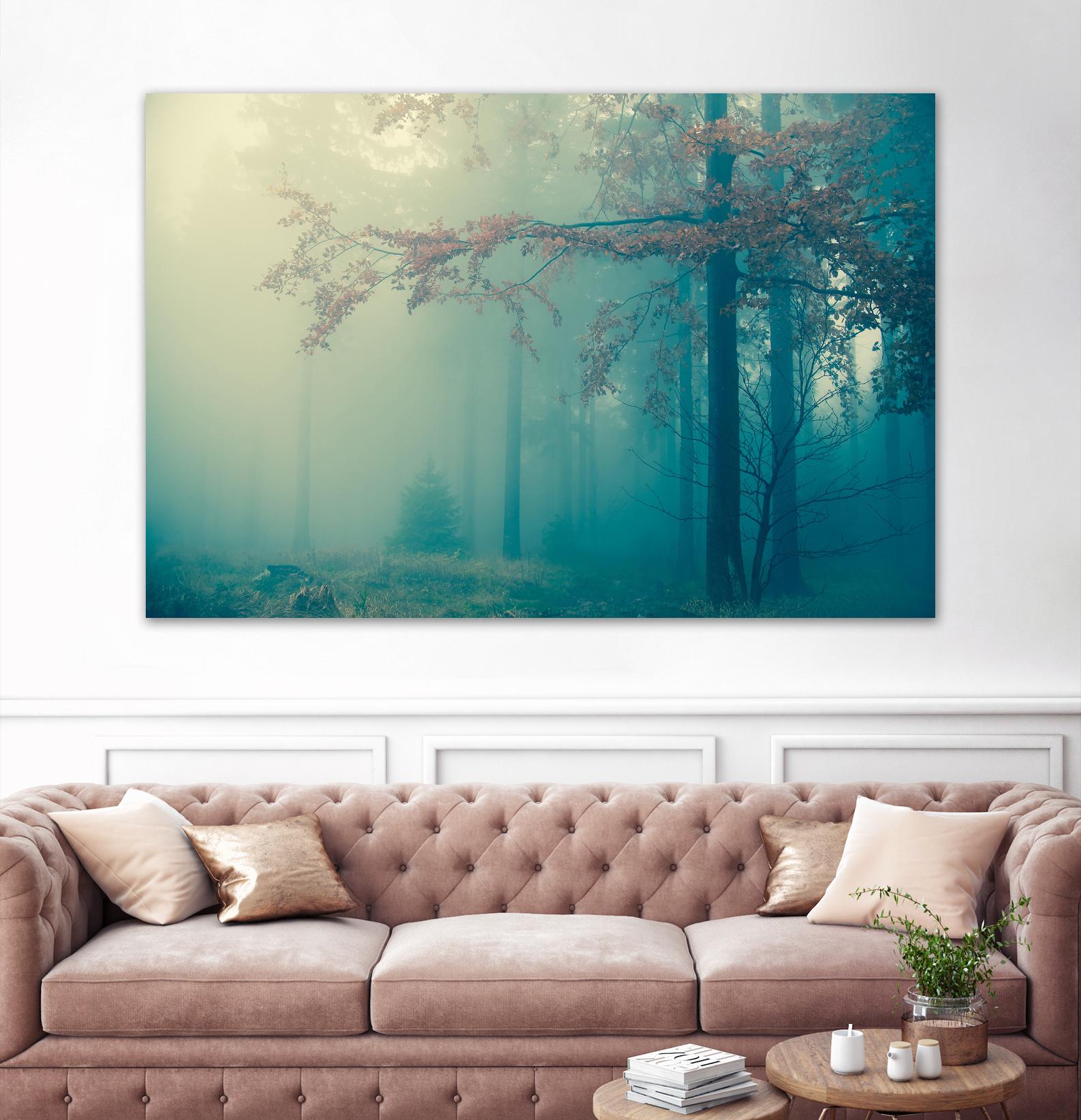 Woods by PhotoINC Studio on GIANT ART - multicolor photography; landscapes