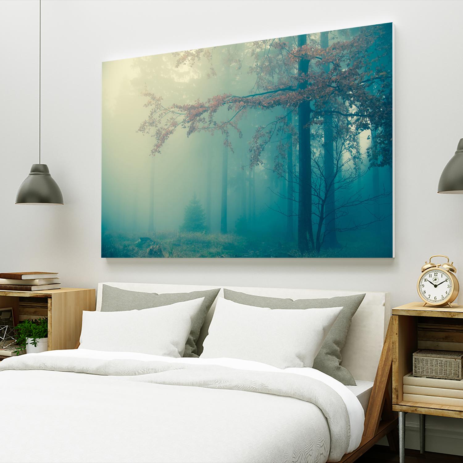 Woods by PhotoINC Studio on GIANT ART - multicolor photography; landscapes