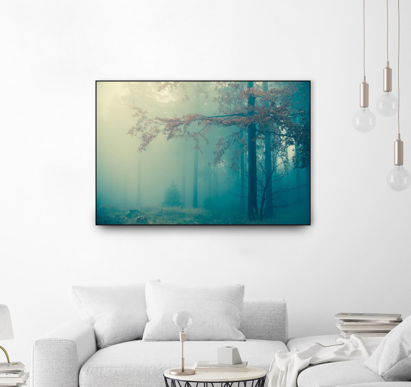 Woods by PhotoINC Studio on GIANT ART - multicolor photography; landscapes