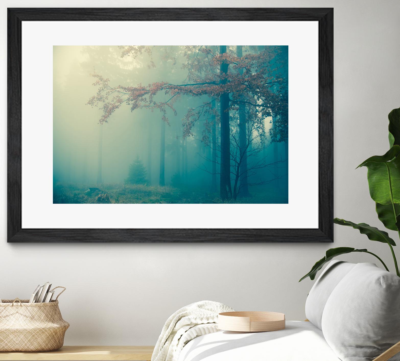 Woods by PhotoINC Studio on GIANT ART - multicolor photography; landscapes