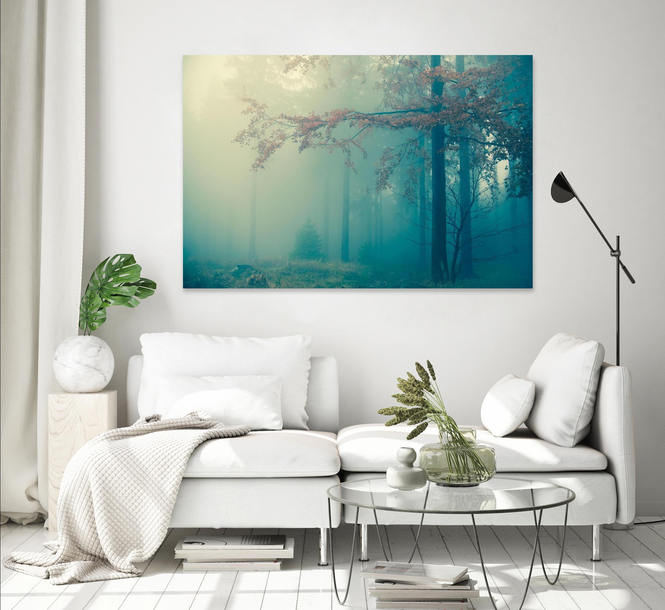 Woods by PhotoINC Studio on GIANT ART - multicolor photography; landscapes