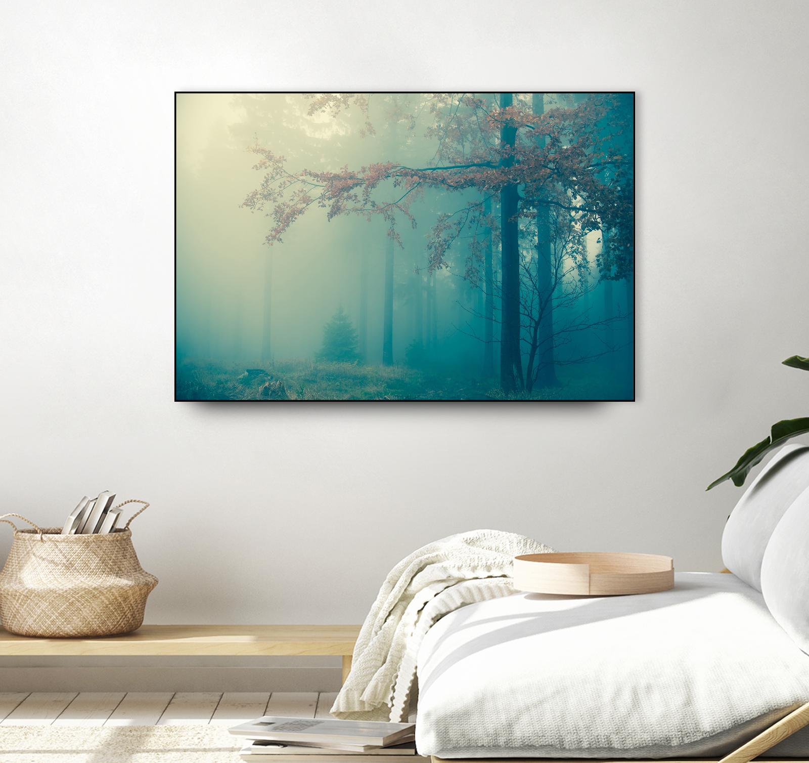 Woods by PhotoINC Studio on GIANT ART - multicolor photography; landscapes