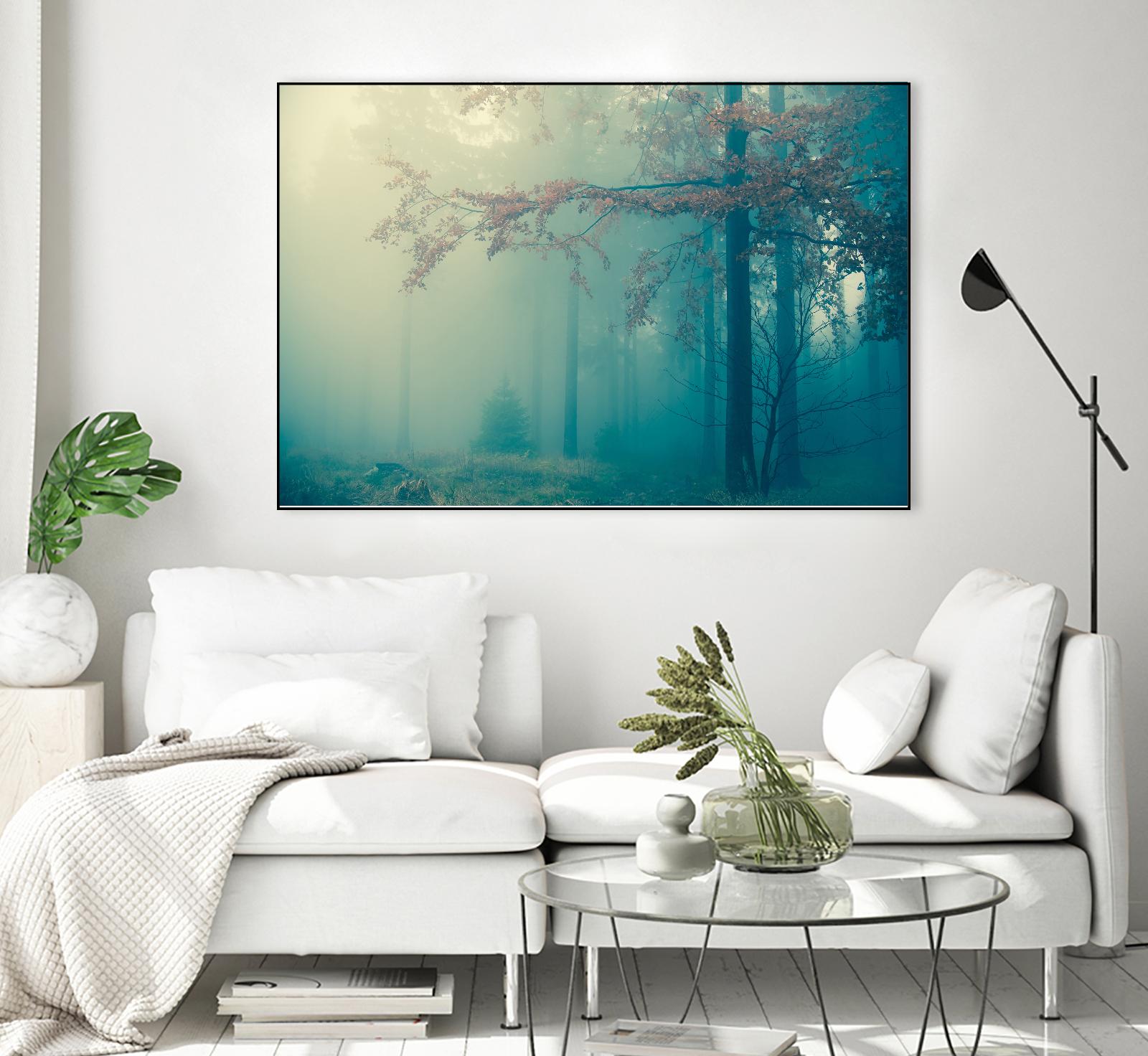 Woods by PhotoINC Studio on GIANT ART - multicolor photography; landscapes