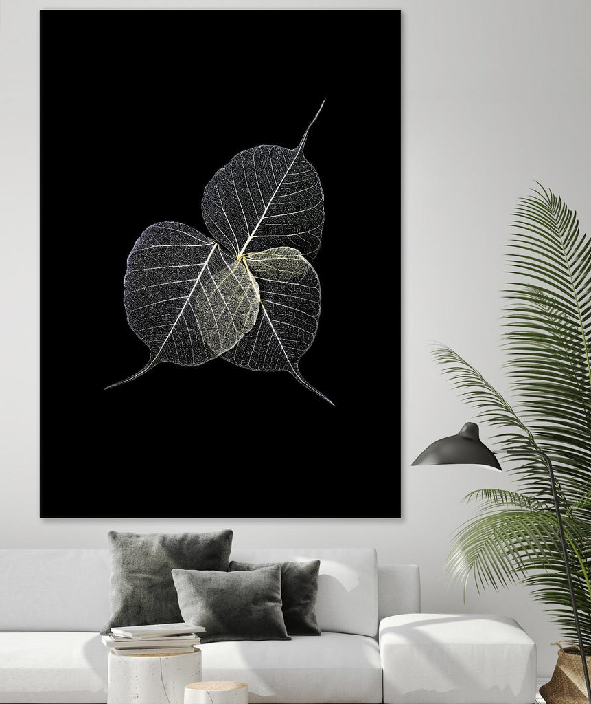 Dark Leaves by Incado on GIANT ART - multicolor photography; floral/still life