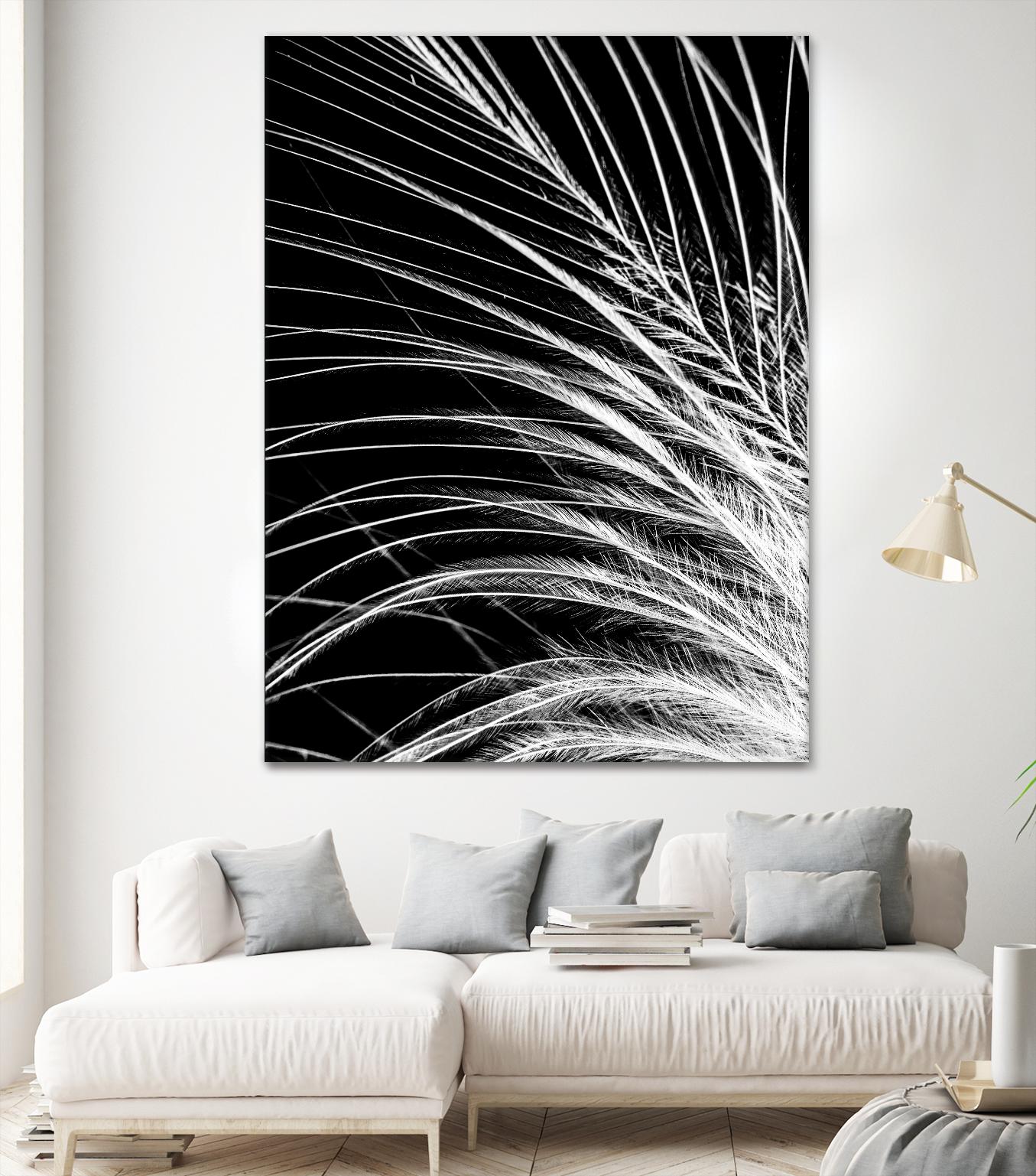White Feather by Incado on GIANT ART - multicolor photography; floral/still life