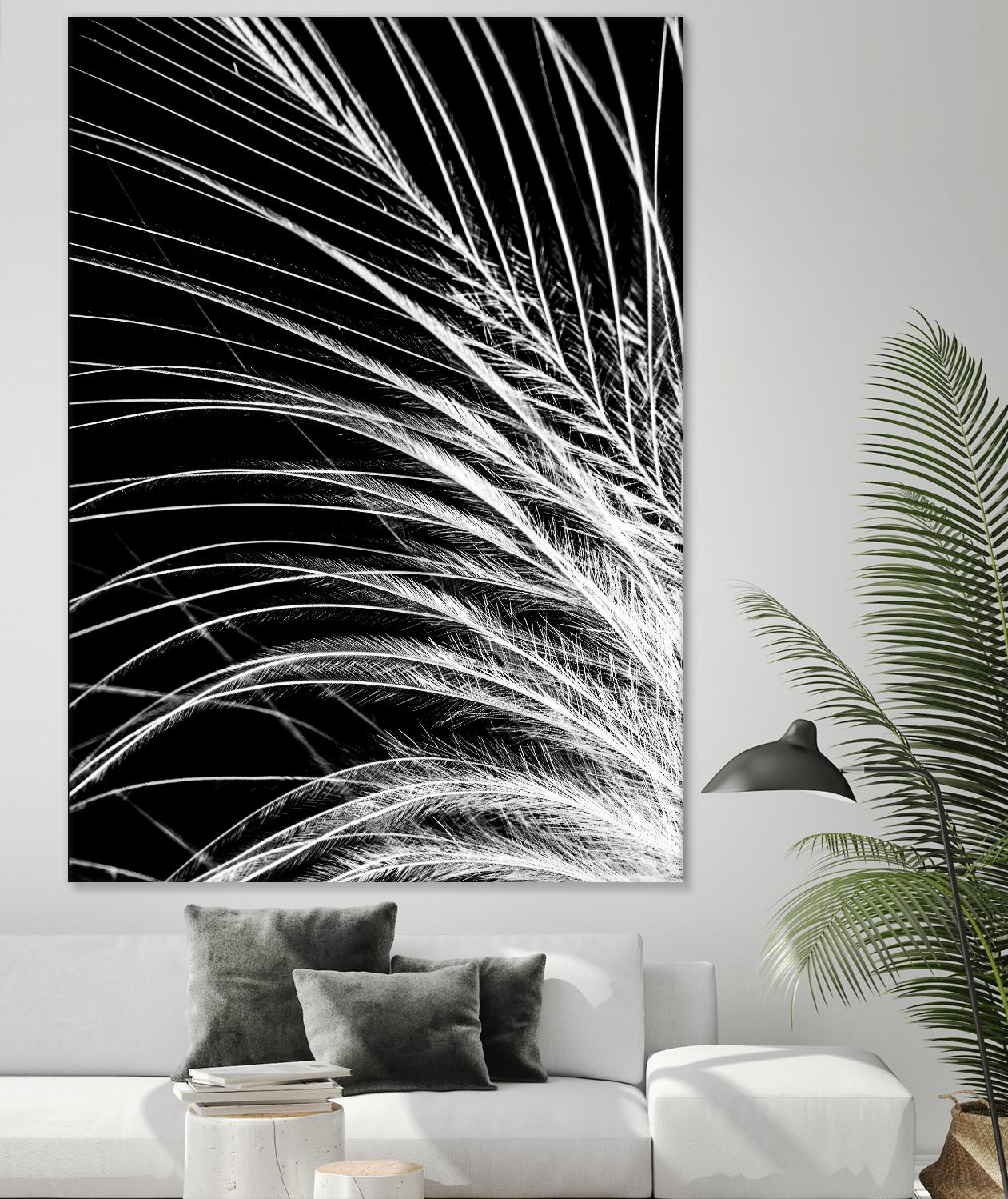 White Feather by Incado on GIANT ART - multicolor photography; floral/still life