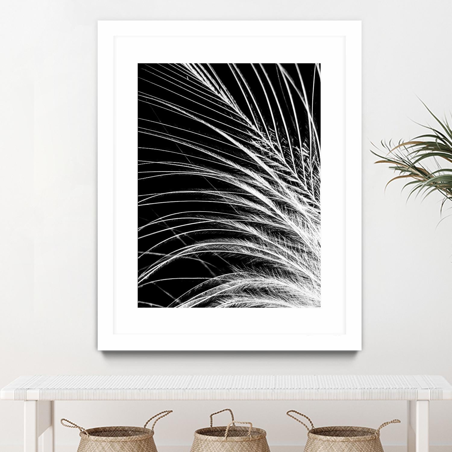 White Feather by Incado on GIANT ART - multicolor photography; floral/still life