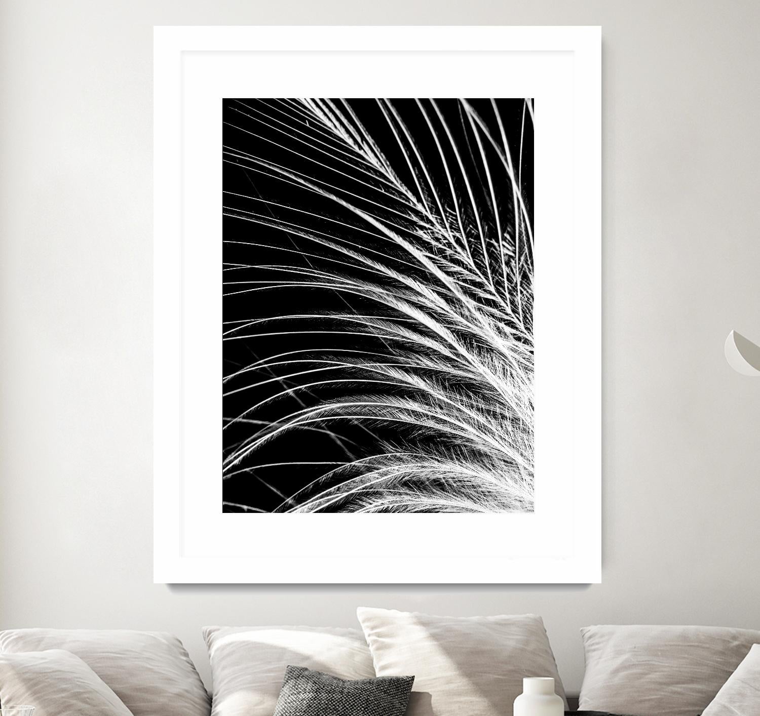White Feather by Incado on GIANT ART - multicolor photography; floral/still life