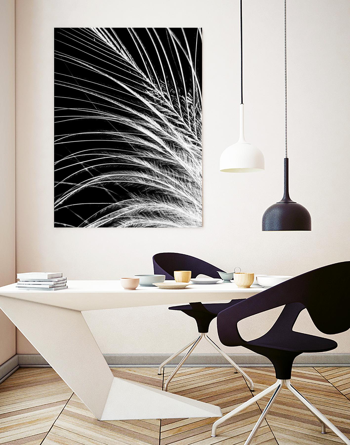 White Feather by Incado on GIANT ART - multicolor photography; floral/still life