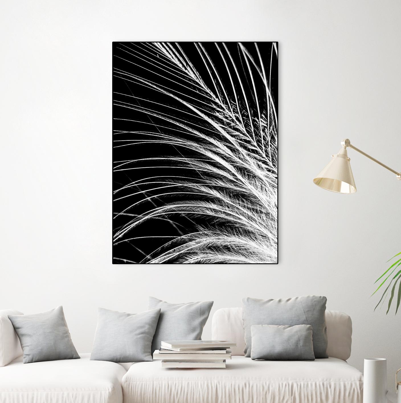 White Feather by Incado on GIANT ART - multicolor photography; floral/still life