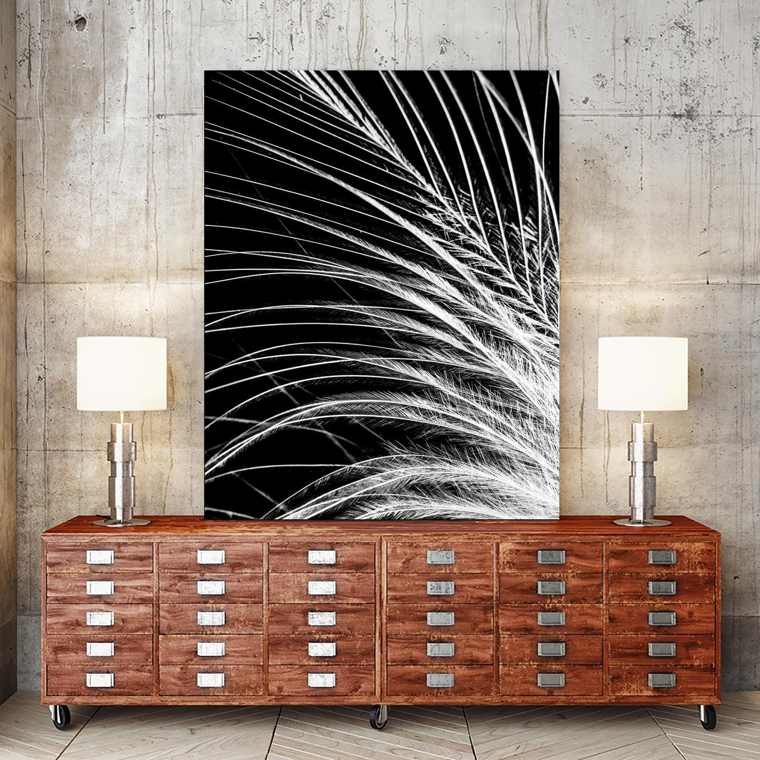 White Feather by Incado on GIANT ART - multicolor photography; floral/still life