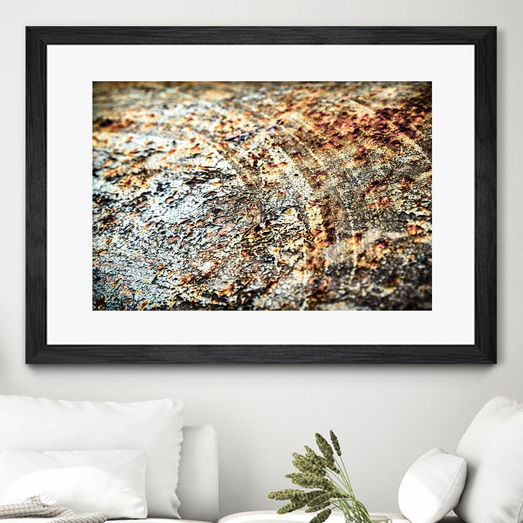 Retro Rust by PhotoINC Studio on GIANT ART - multicolor photography; floral/still life