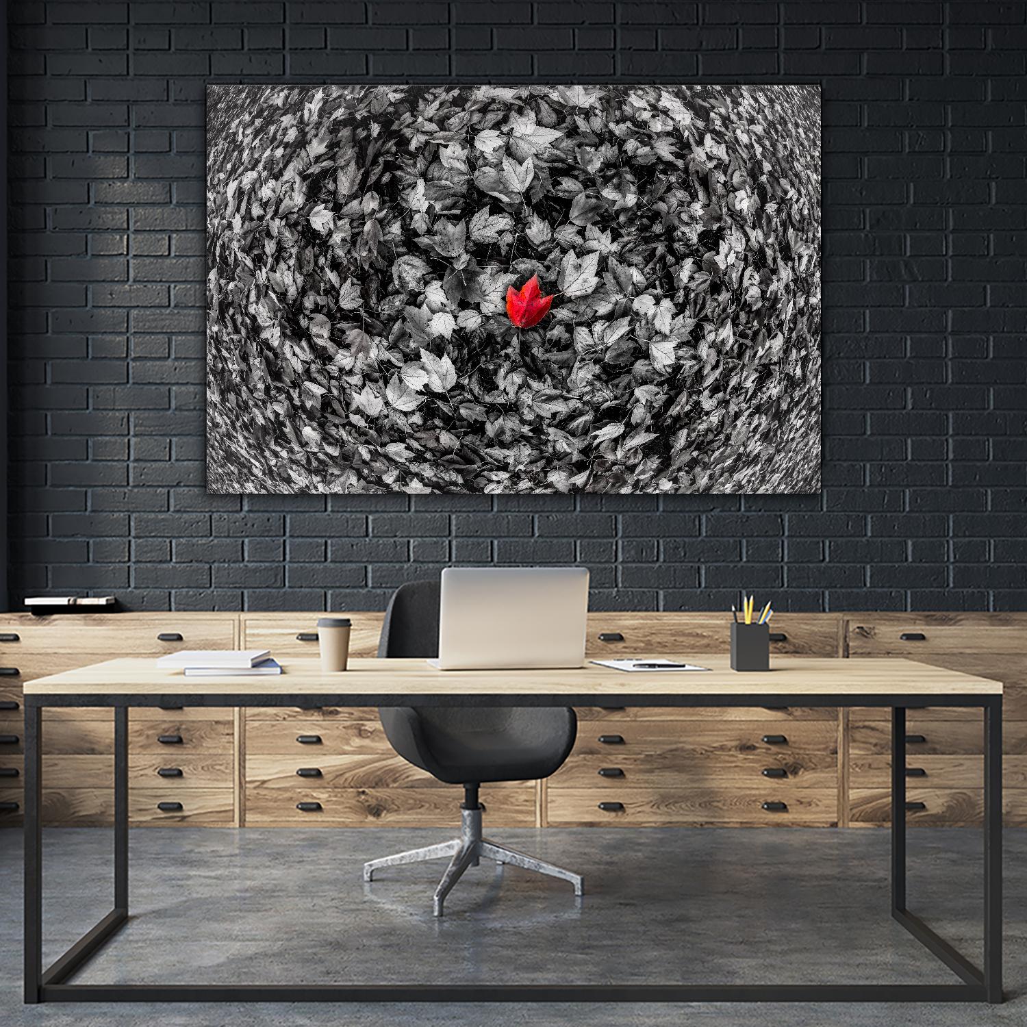 Alone by Vladimir Kostka on GIANT ART - multicolor photography; floral/still life