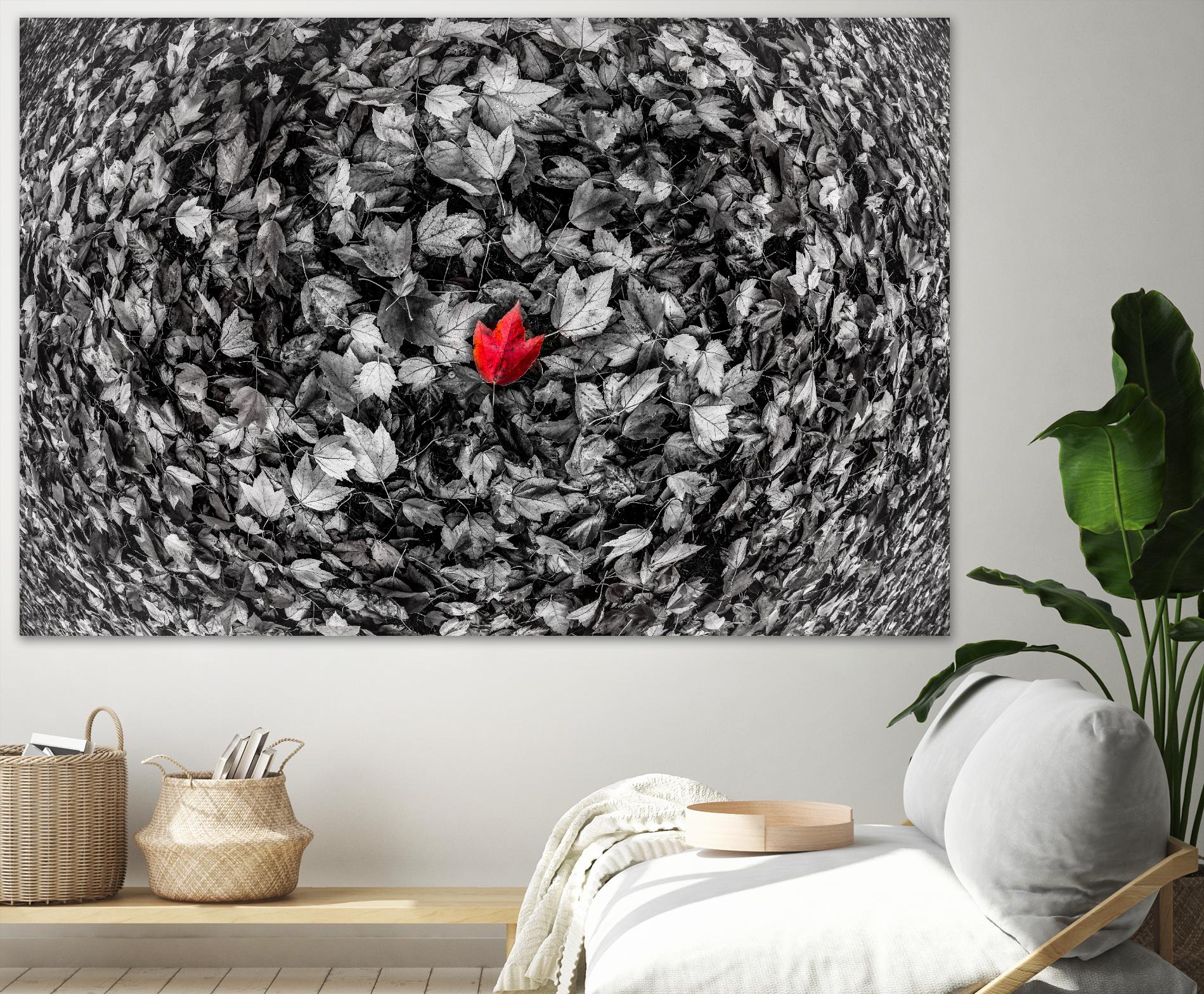 Alone by Vladimir Kostka on GIANT ART - multicolor photography; floral/still life