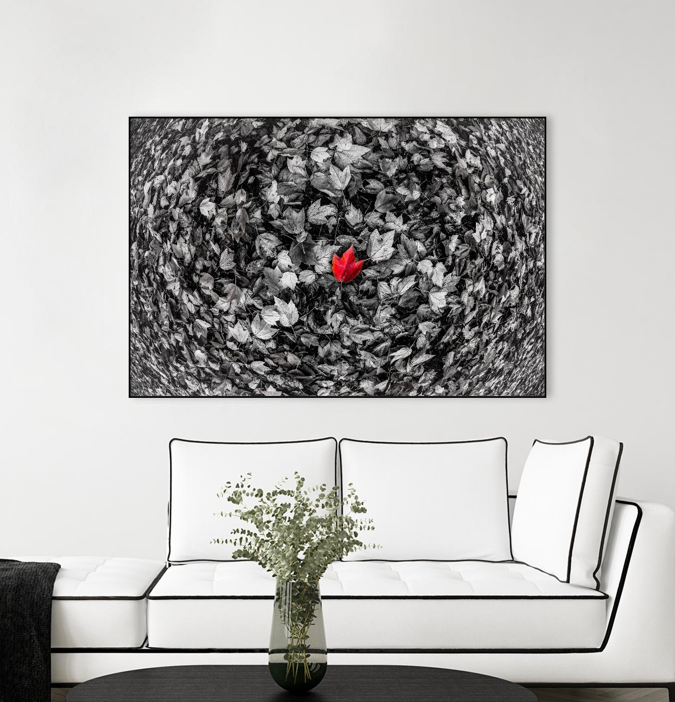 Alone by Vladimir Kostka on GIANT ART - multicolor photography; floral/still life