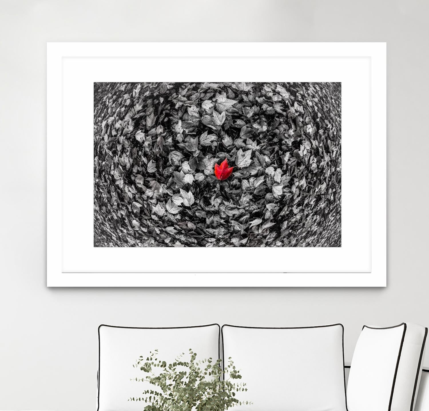 Alone by Vladimir Kostka on GIANT ART - multicolor photography; floral/still life