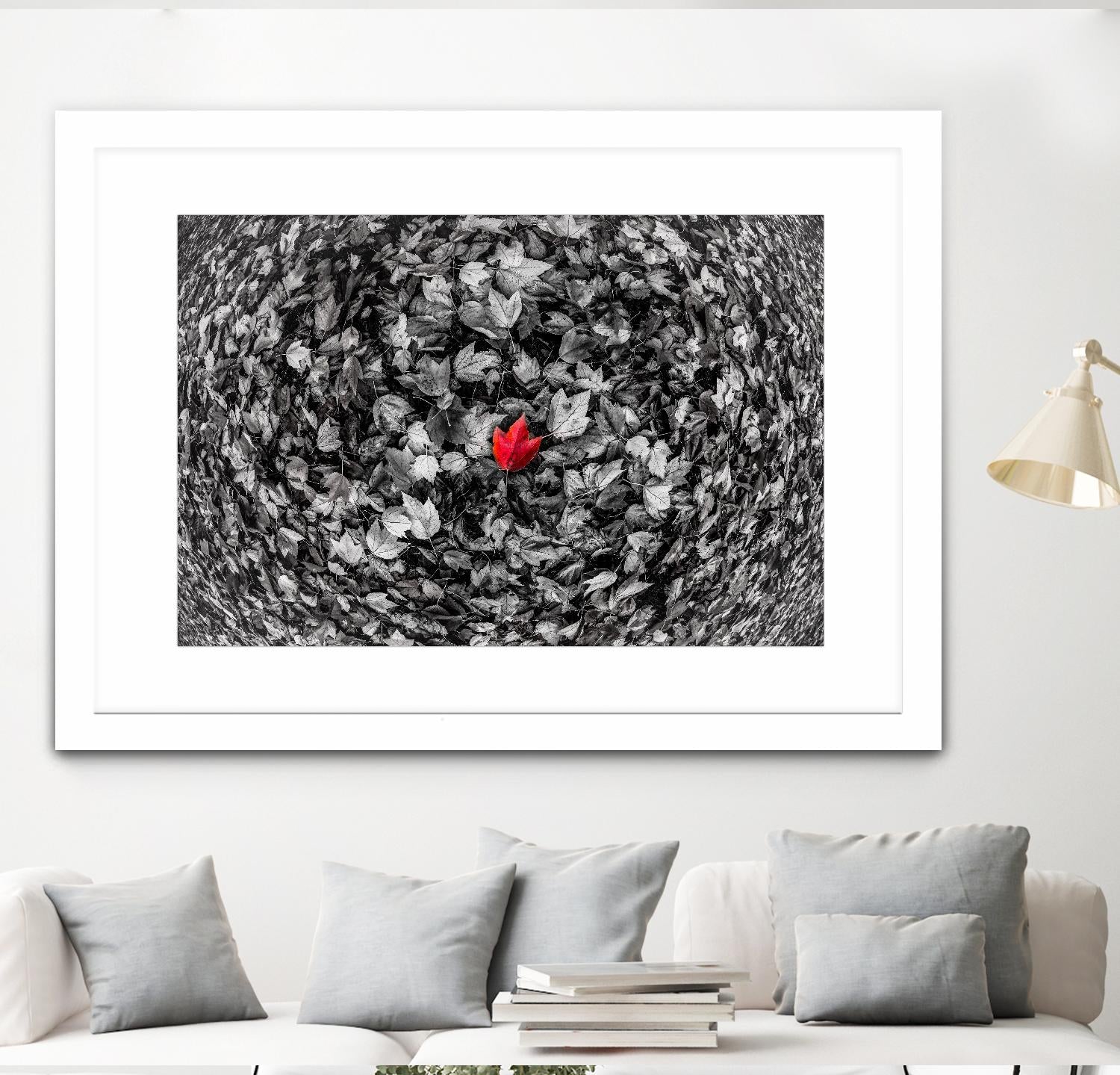 Alone by Vladimir Kostka on GIANT ART - multicolor photography; floral/still life