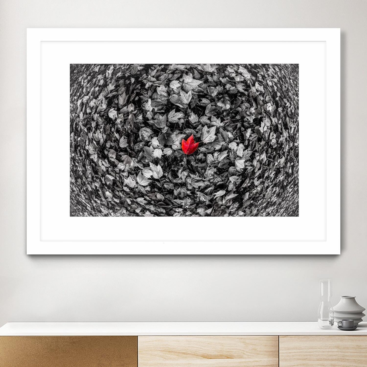 Alone by Vladimir Kostka on GIANT ART - multicolor photography; floral/still life