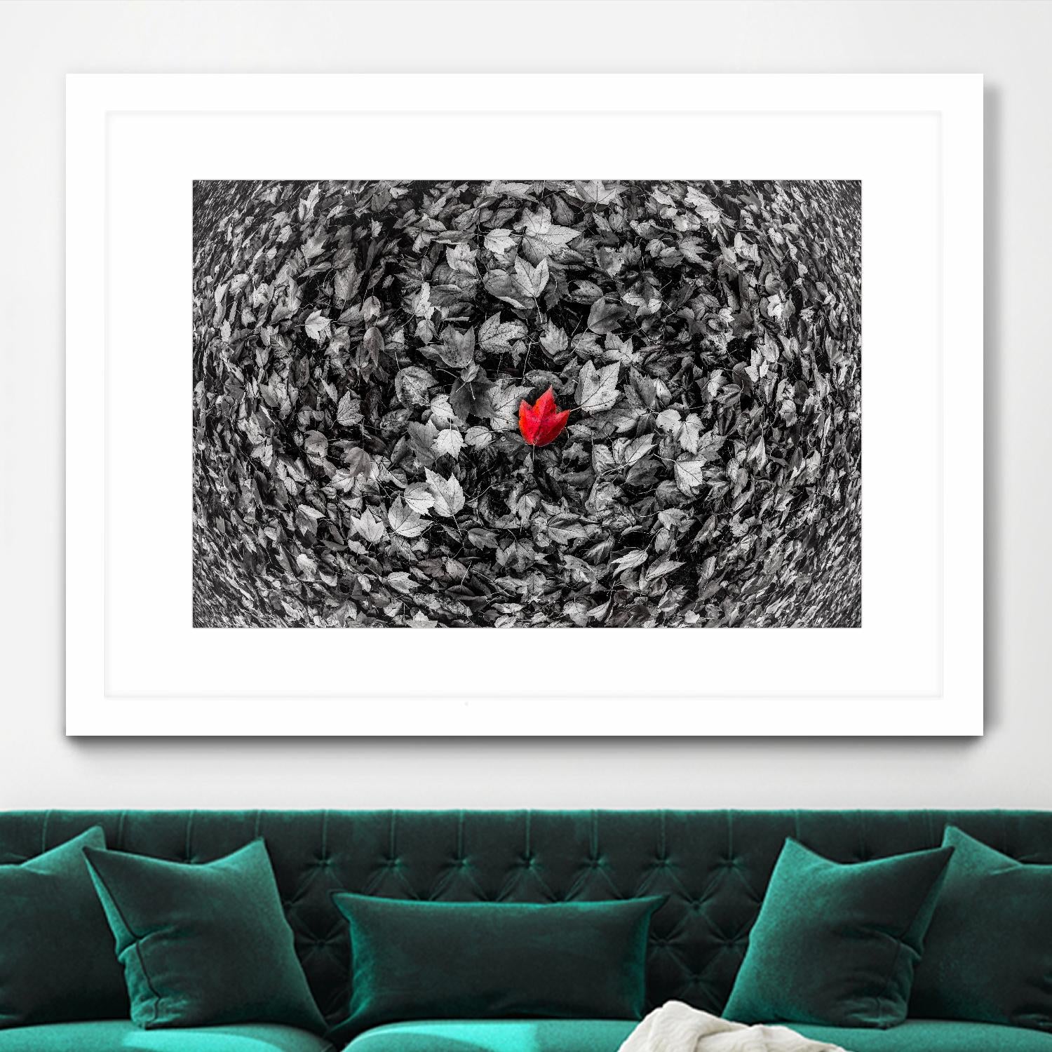 Alone by Vladimir Kostka on GIANT ART - multicolor photography; floral/still life