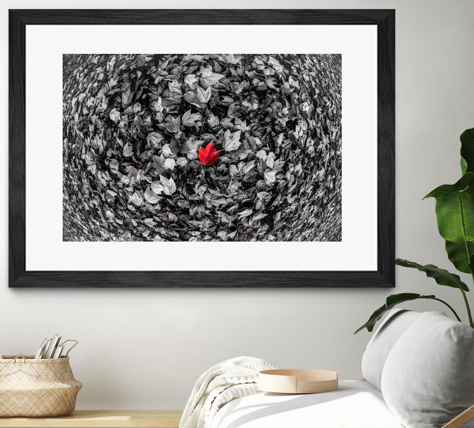 Alone by Vladimir Kostka on GIANT ART - multicolor photography; floral/still life