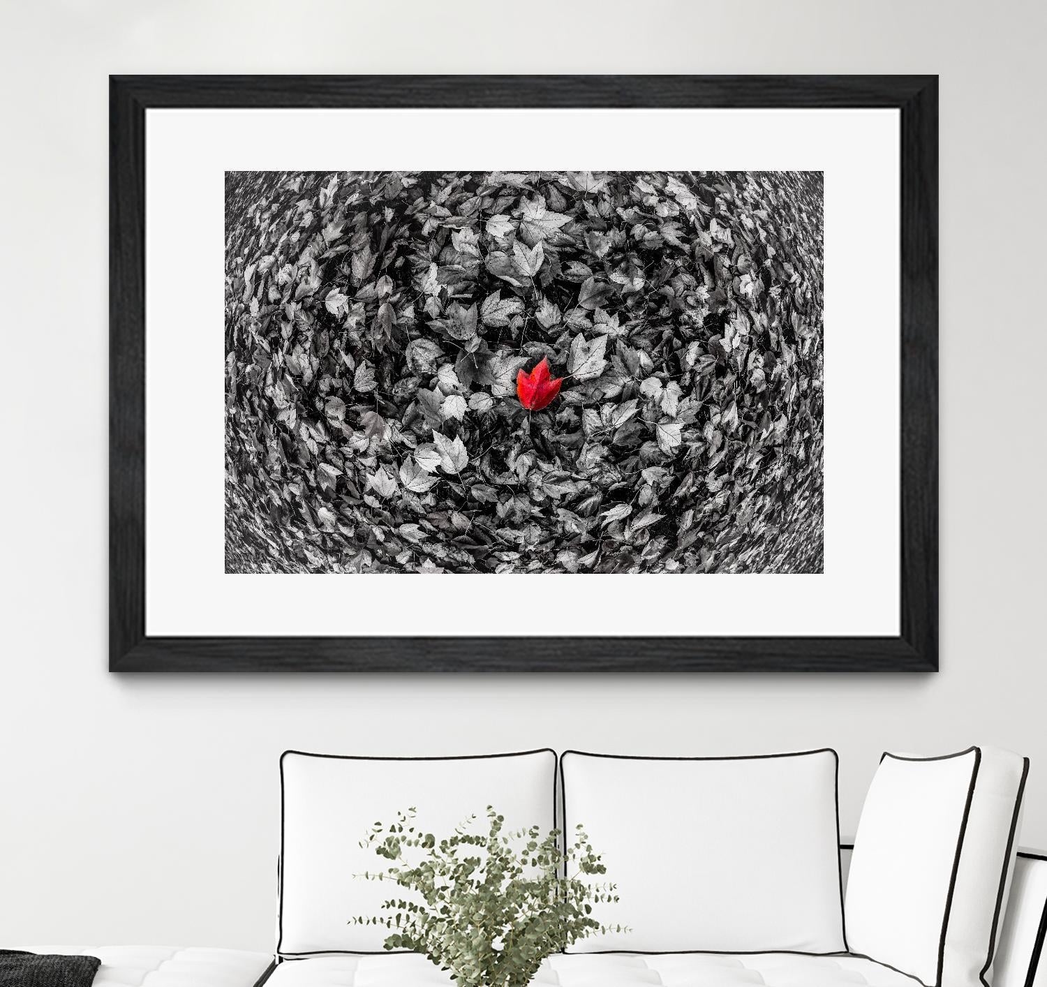 Alone by Vladimir Kostka on GIANT ART - multicolor photography; floral/still life