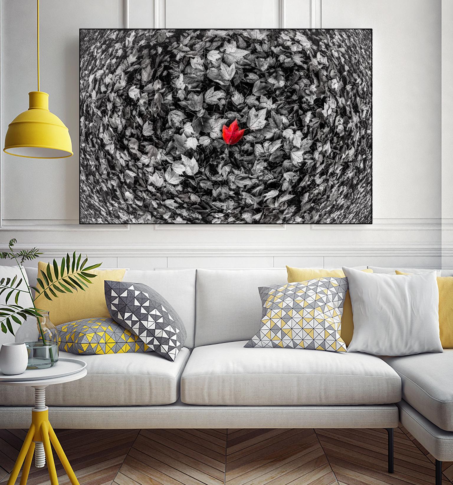 Alone by Vladimir Kostka on GIANT ART - multicolor photography; floral/still life