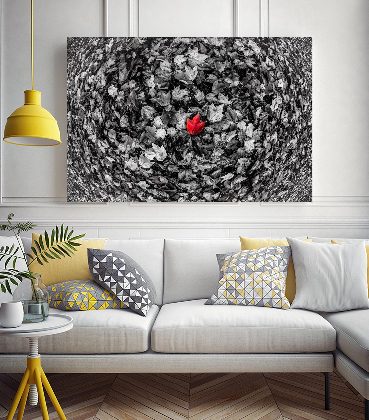 Alone by Vladimir Kostka on GIANT ART - multicolor photography; floral/still life