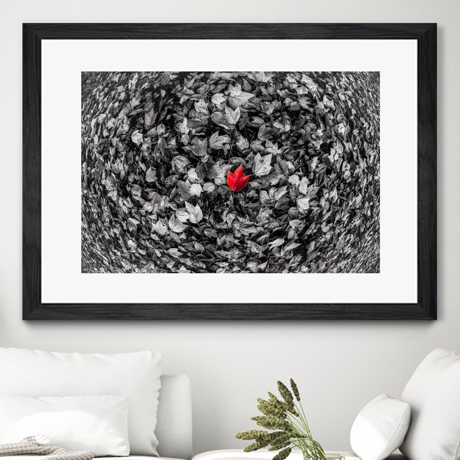 Alone by Vladimir Kostka on GIANT ART - multicolor photography; floral/still life