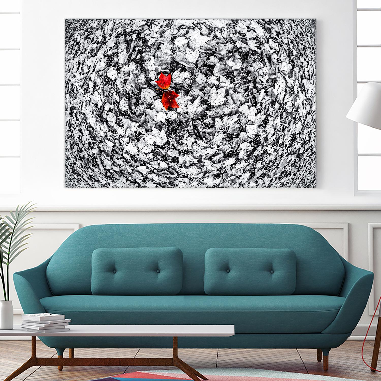 Together by Vladimir Kostka on GIANT ART - multicolor photography; floral/still life