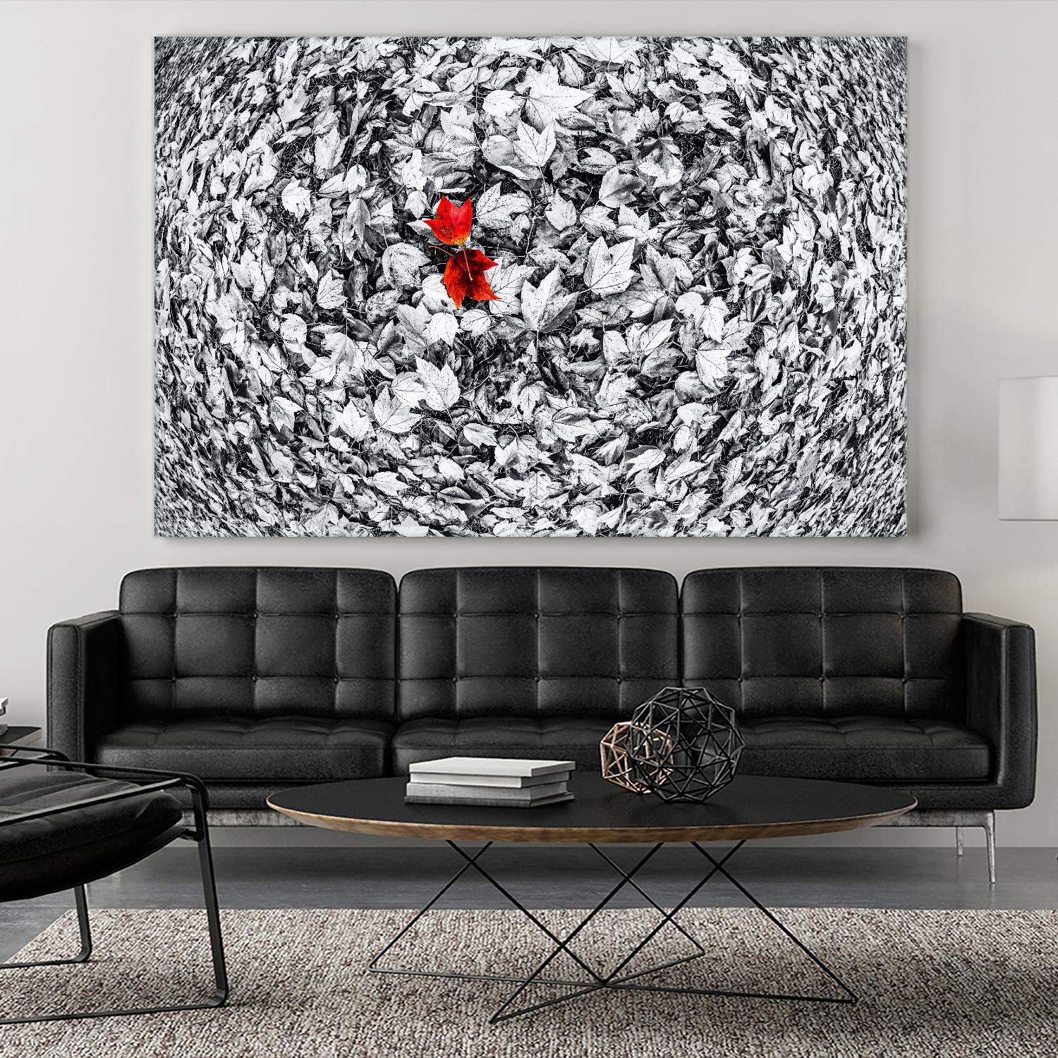 Together by Vladimir Kostka on GIANT ART - multicolor photography; floral/still life