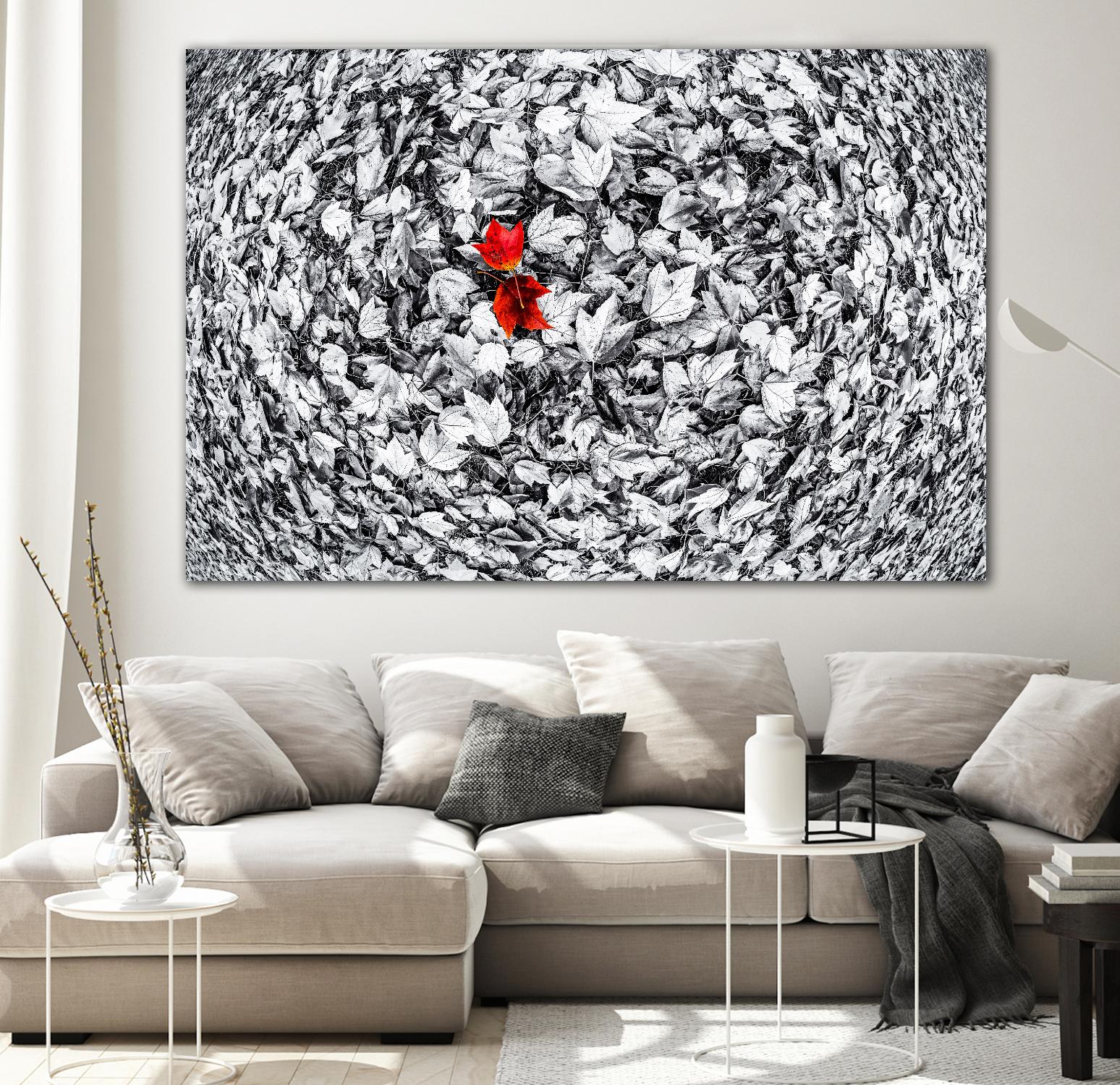 Together by Vladimir Kostka on GIANT ART - multicolor photography; floral/still life