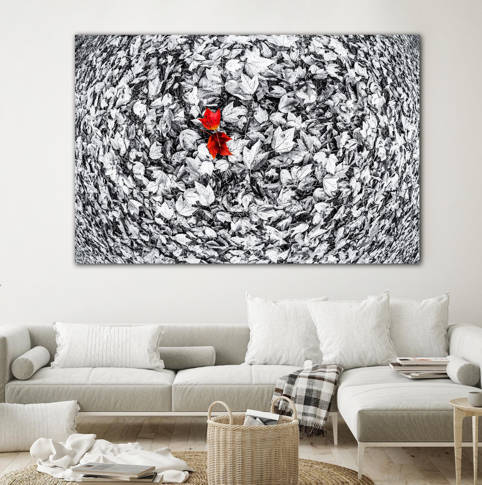 Together by Vladimir Kostka on GIANT ART - multicolor photography; floral/still life