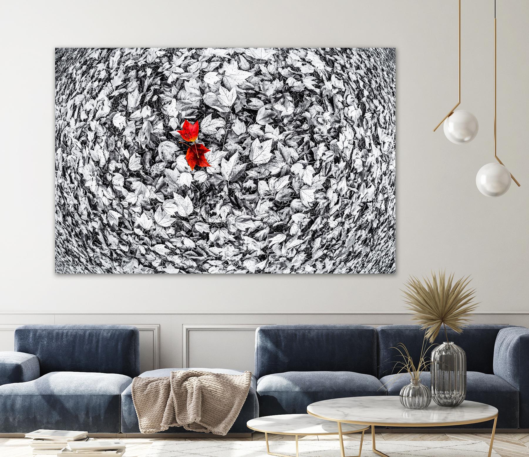 Together by Vladimir Kostka on GIANT ART - multicolor photography; floral/still life