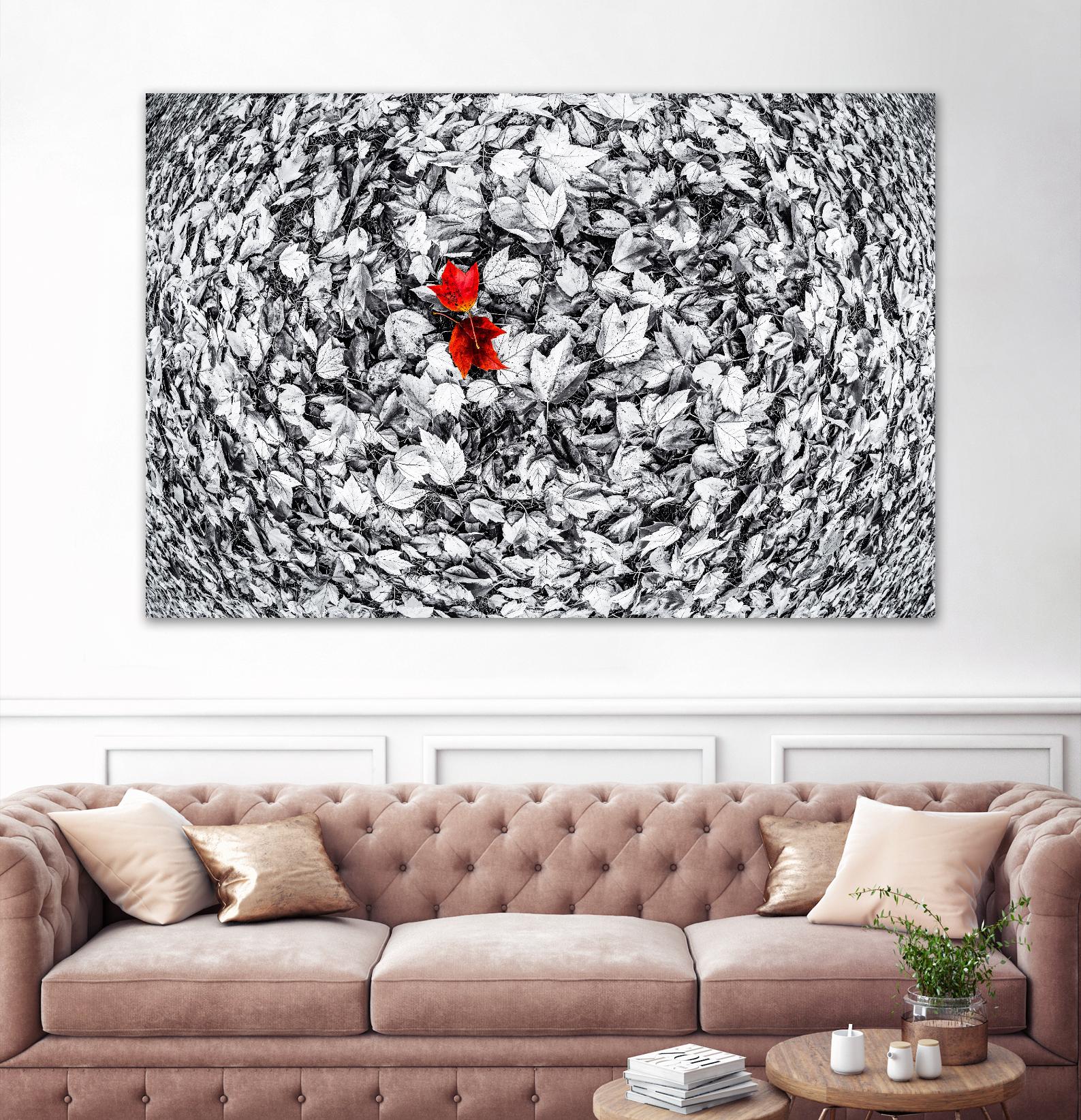 Together by Vladimir Kostka on GIANT ART - multicolor photography; floral/still life