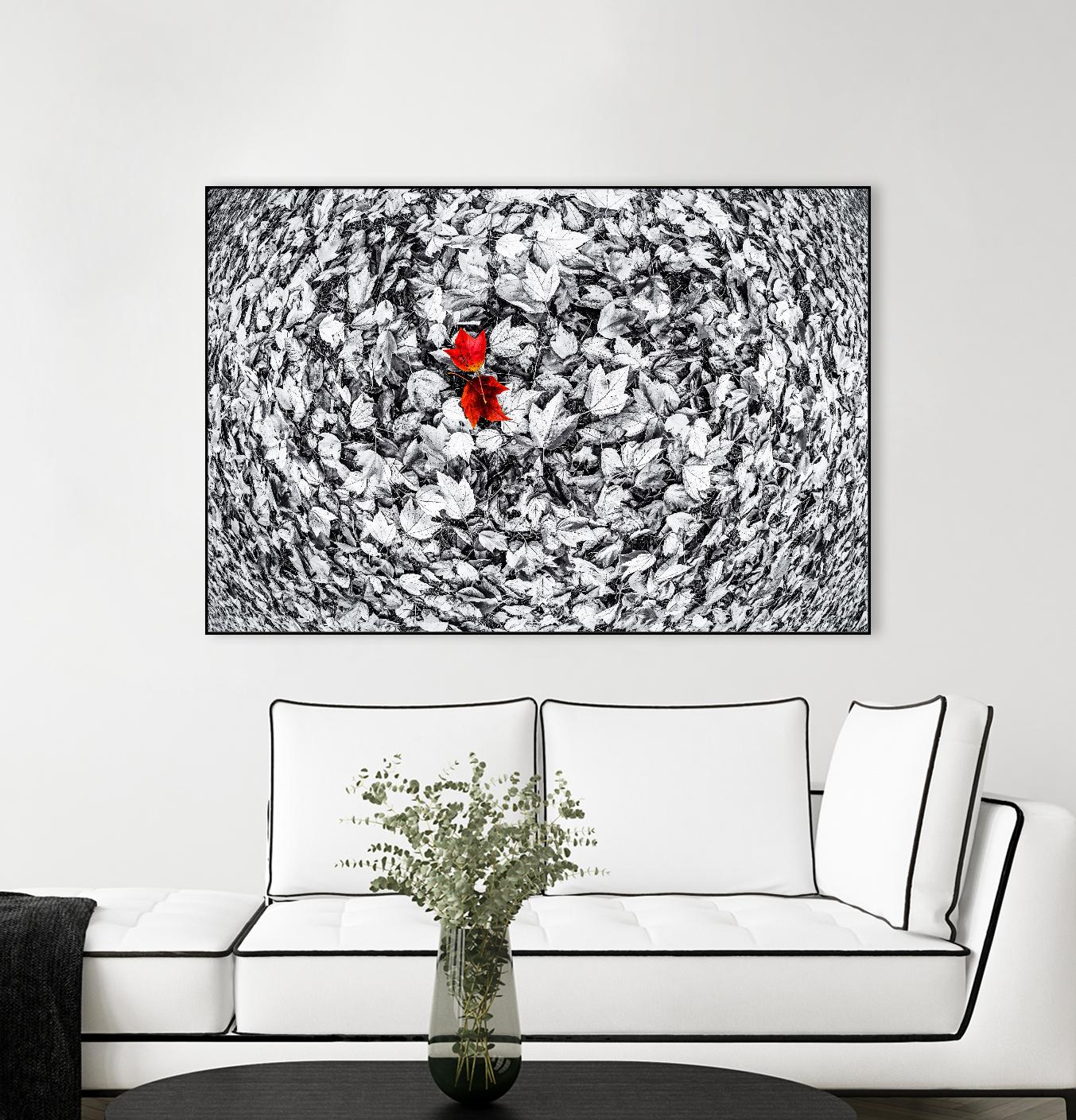 Together by Vladimir Kostka on GIANT ART - multicolor photography; floral/still life