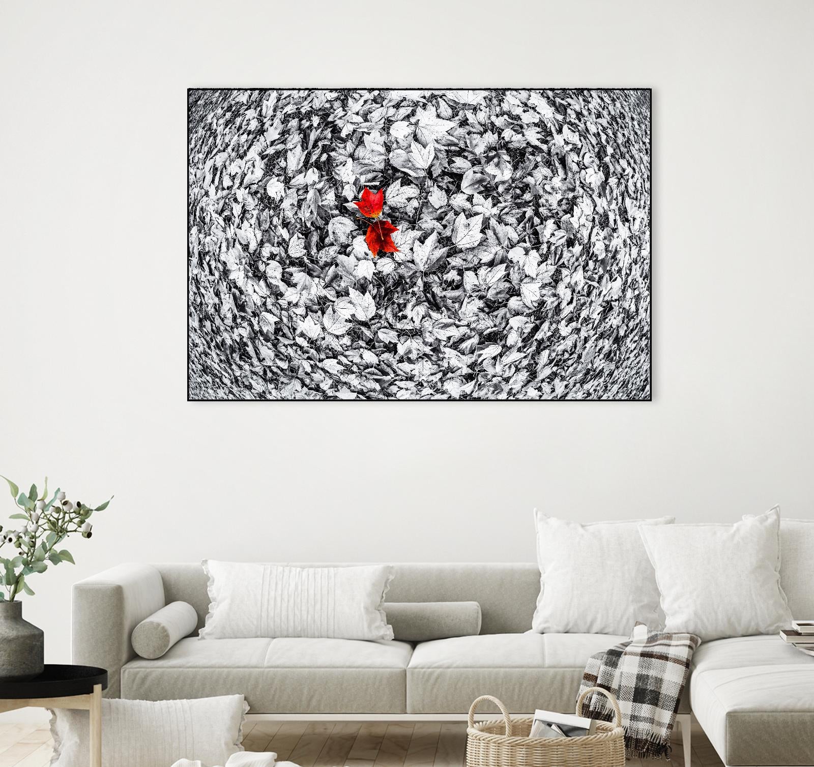 Together by Vladimir Kostka on GIANT ART - multicolor photography; floral/still life