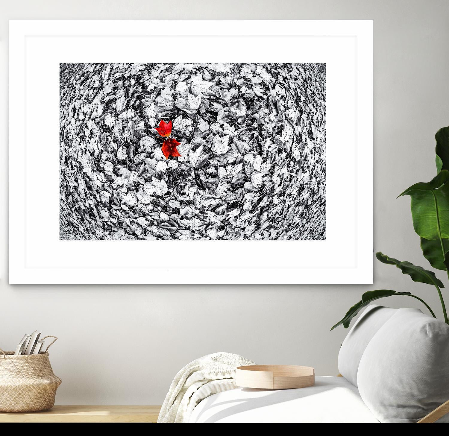 Together by Vladimir Kostka on GIANT ART - multicolor photography; floral/still life