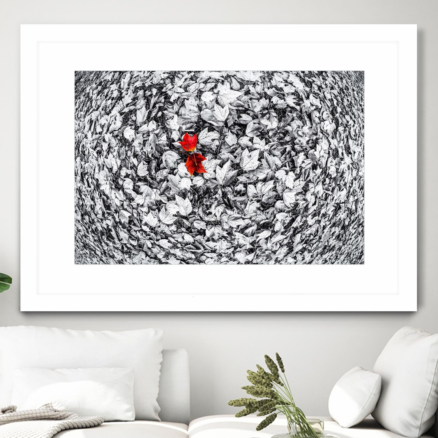 Together by Vladimir Kostka on GIANT ART - multicolor photography; floral/still life