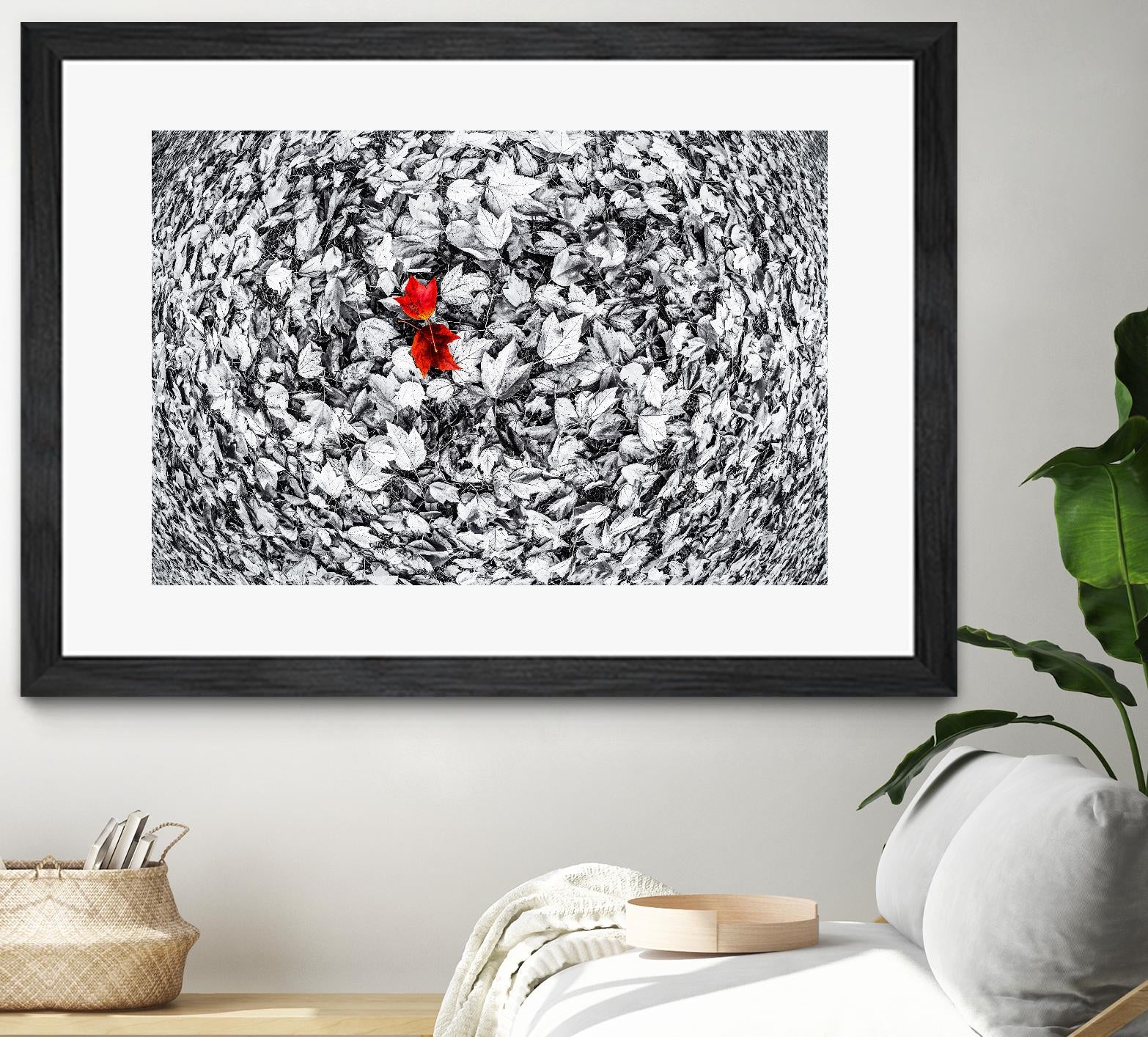 Together by Vladimir Kostka on GIANT ART - multicolor photography; floral/still life