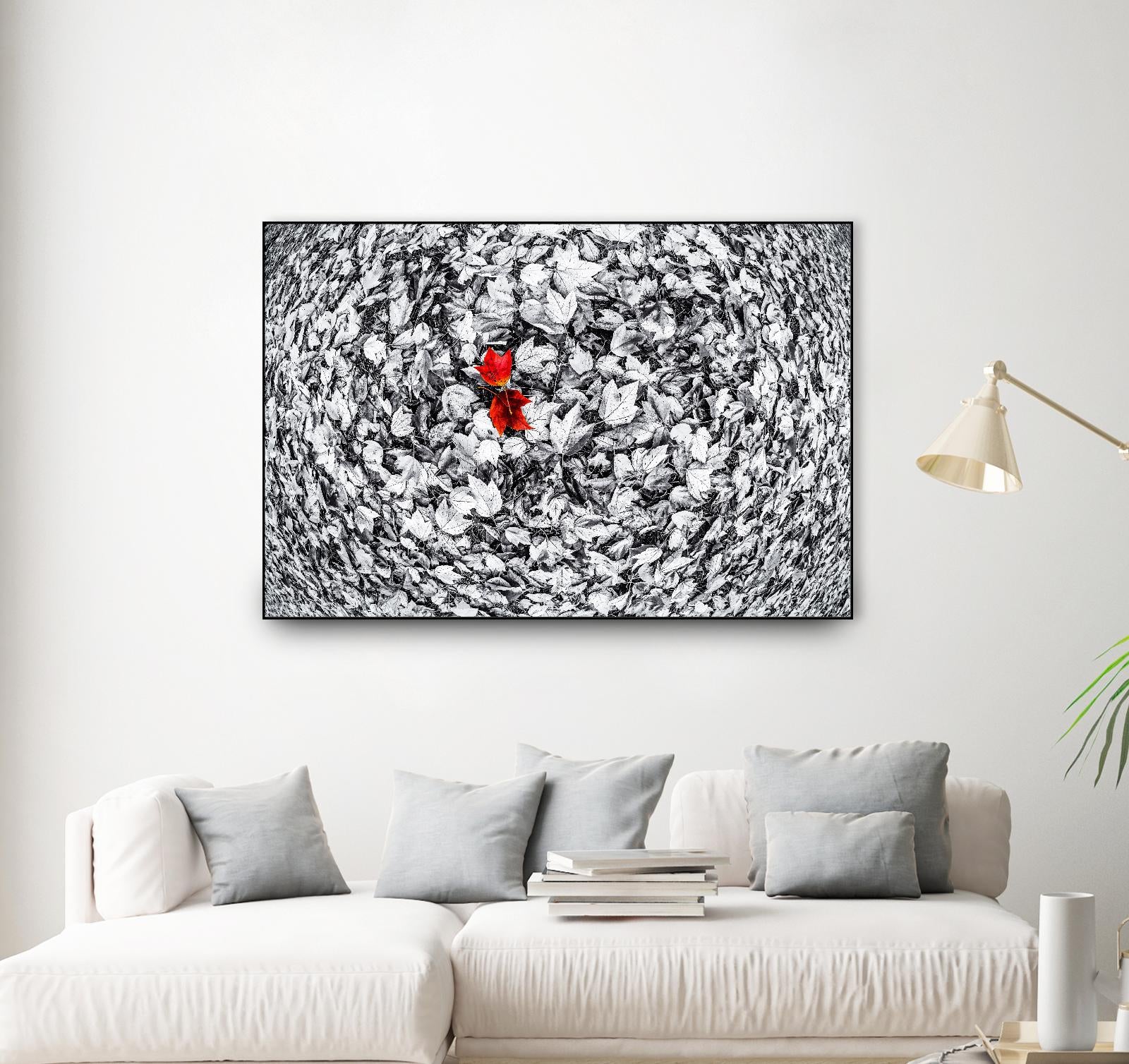 Together by Vladimir Kostka on GIANT ART - multicolor photography; floral/still life