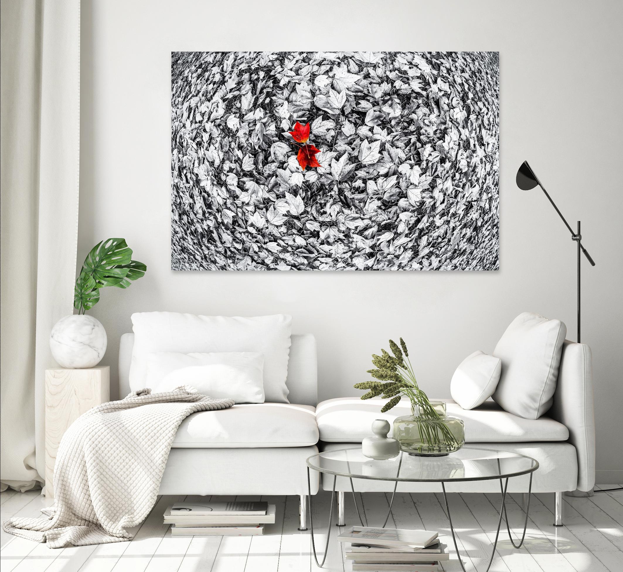 Together by Vladimir Kostka on GIANT ART - multicolor photography; floral/still life