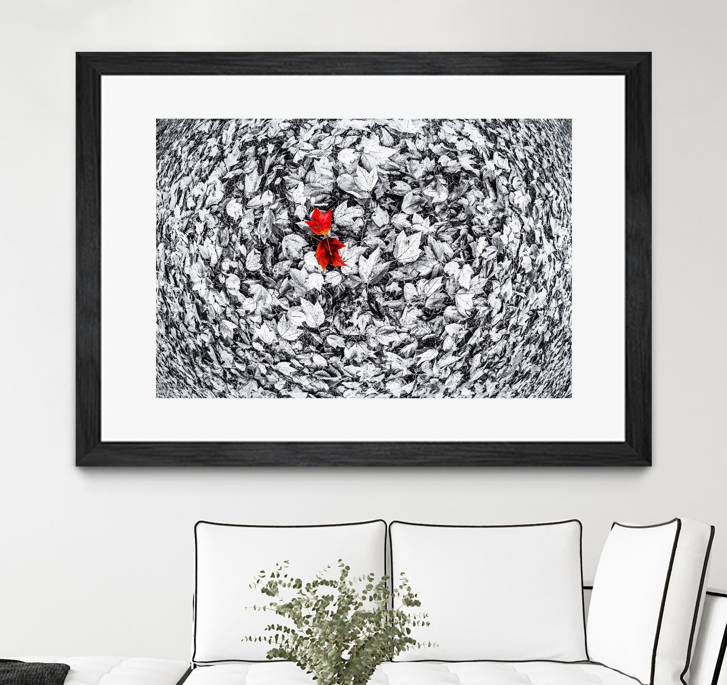 Together by Vladimir Kostka on GIANT ART - multicolor photography; floral/still life