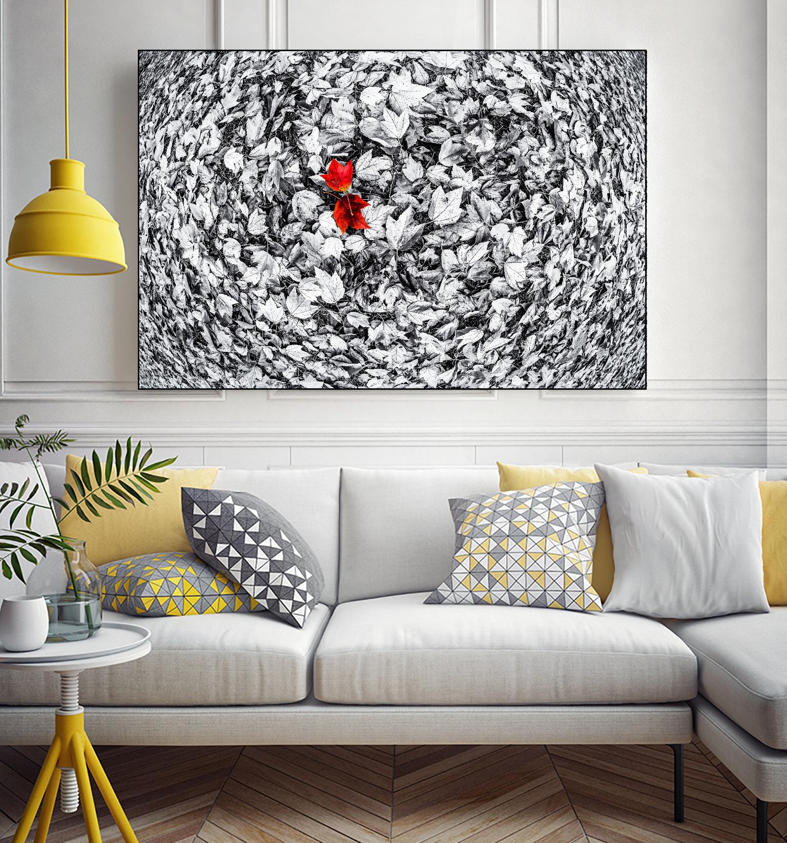 Together by Vladimir Kostka on GIANT ART - multicolor photography; floral/still life