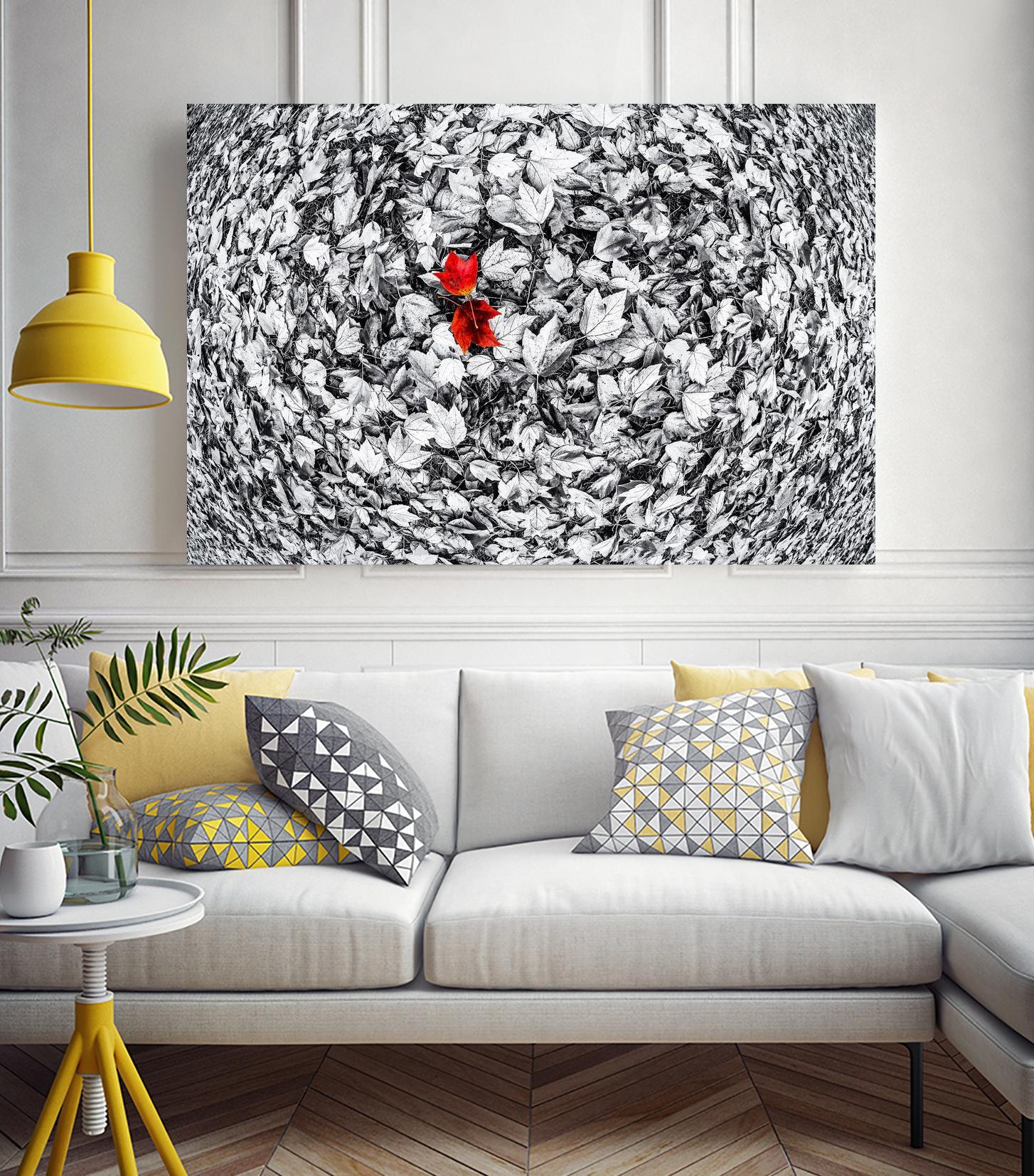 Together by Vladimir Kostka on GIANT ART - multicolor photography; floral/still life