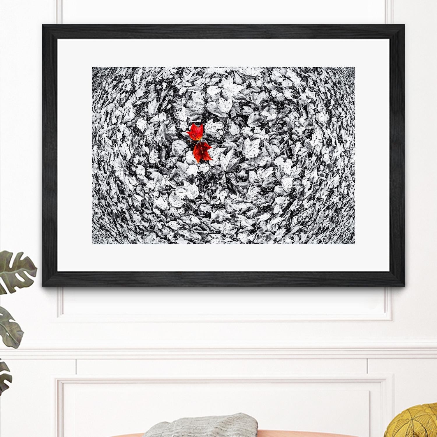 Together by Vladimir Kostka on GIANT ART - multicolor photography; floral/still life