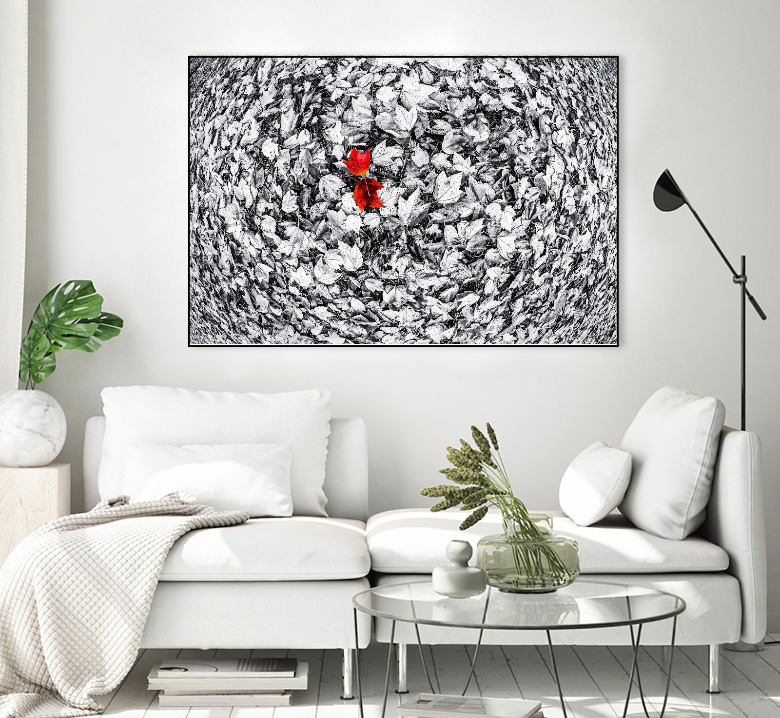 Together by Vladimir Kostka on GIANT ART - multicolor photography; floral/still life