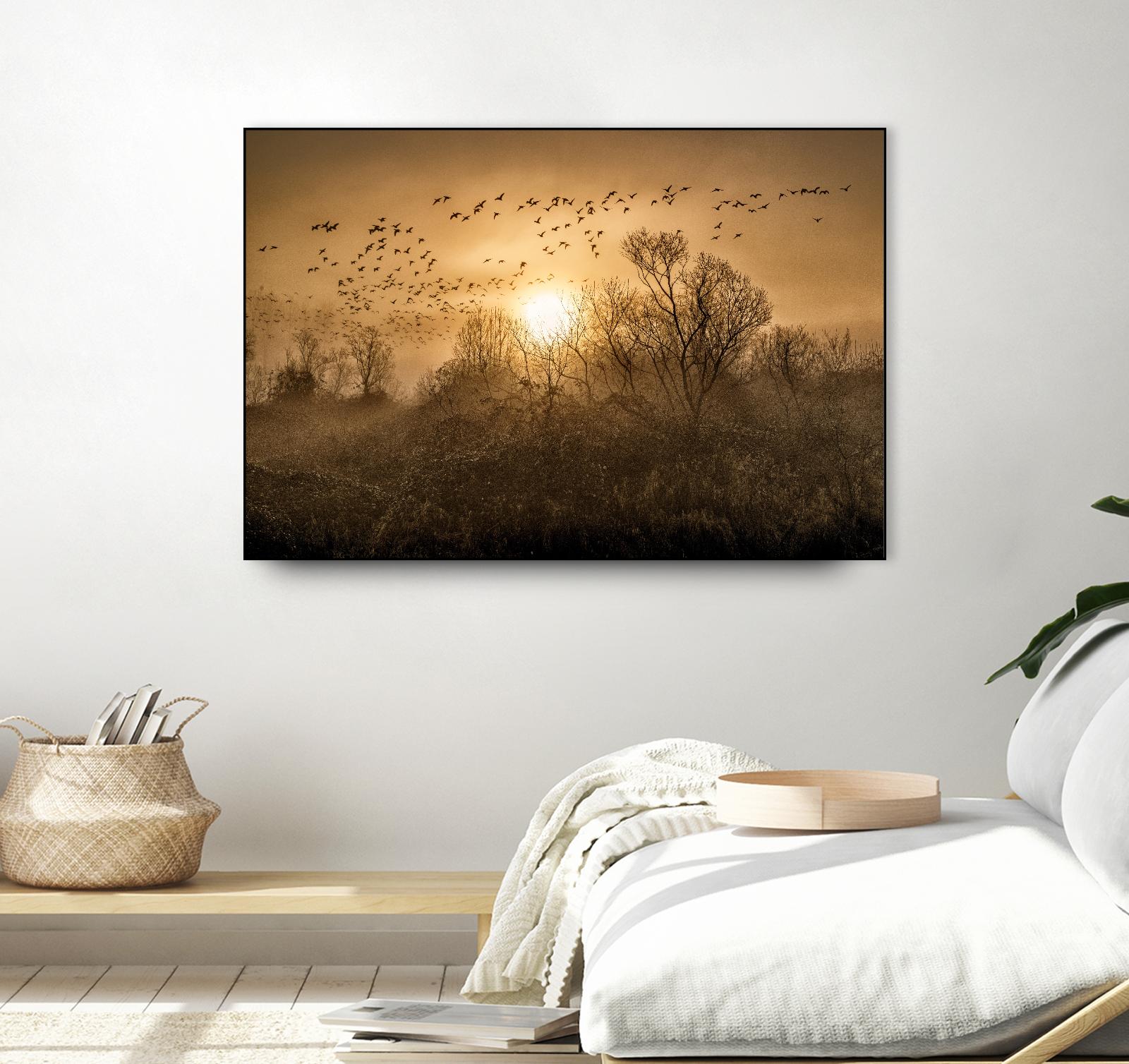 The Flight by Vladimir Kostka on GIANT ART - multicolor photography; landscapes